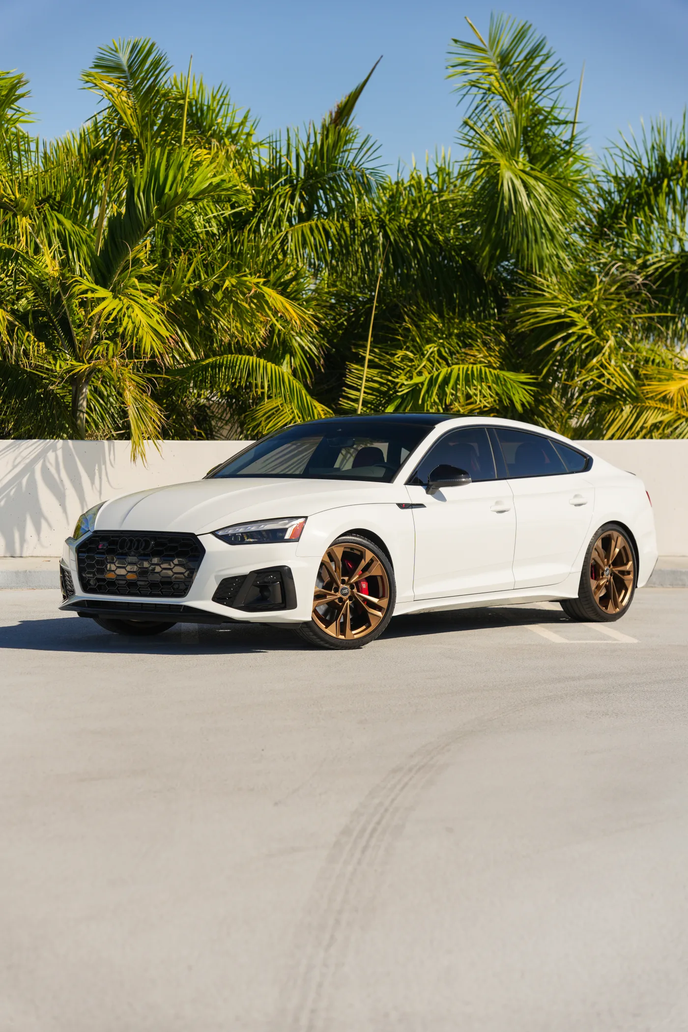 Audi S5 White - Exotic Car Rental Miami