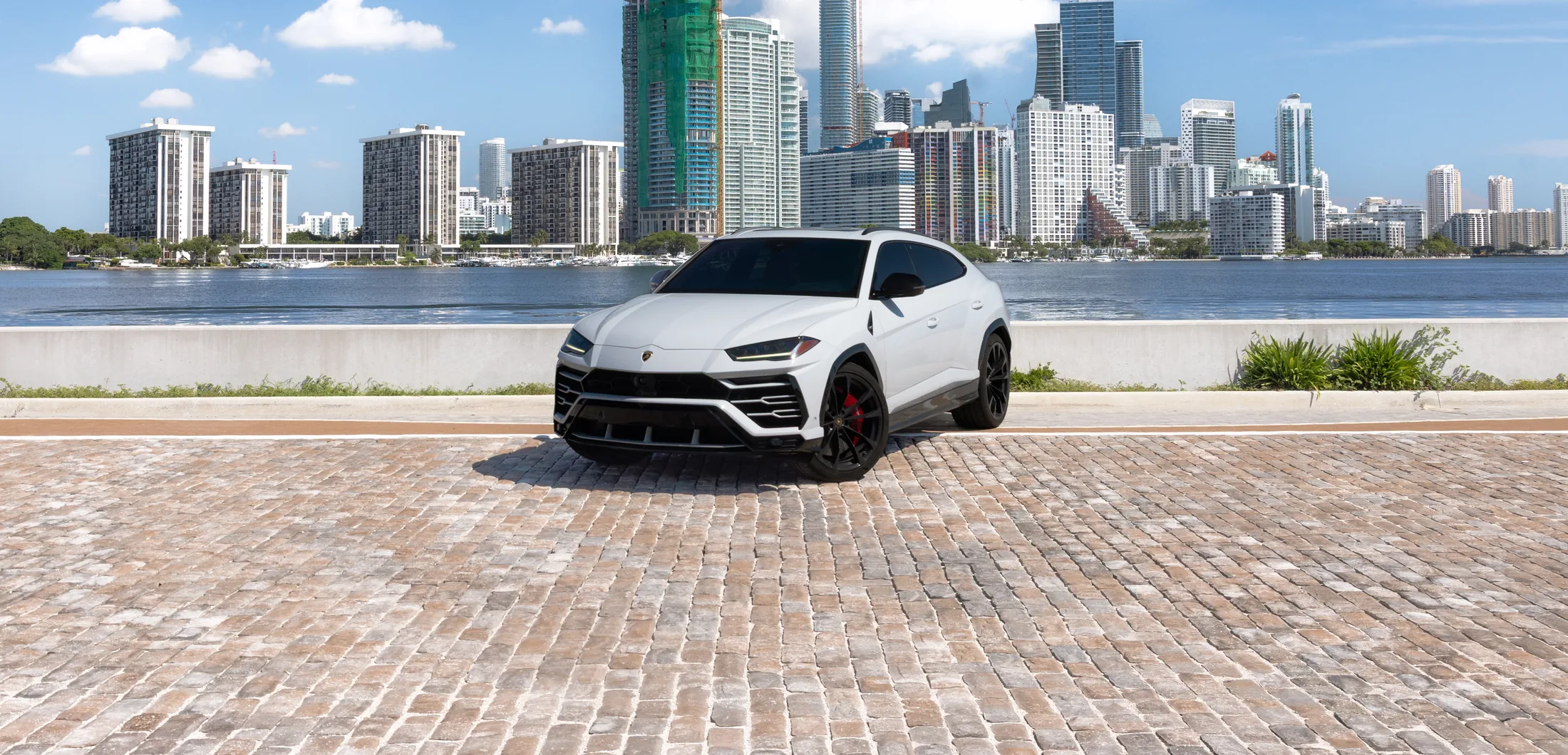 Lamborghini Urus White